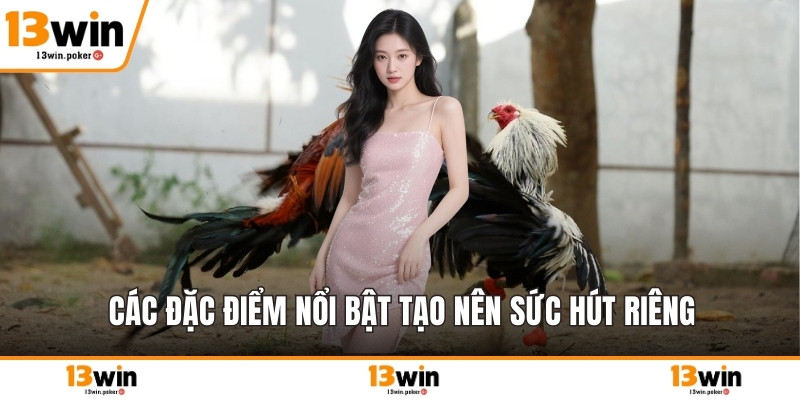 Các đặc điểm nổi bật tạo nên sức hút riêng