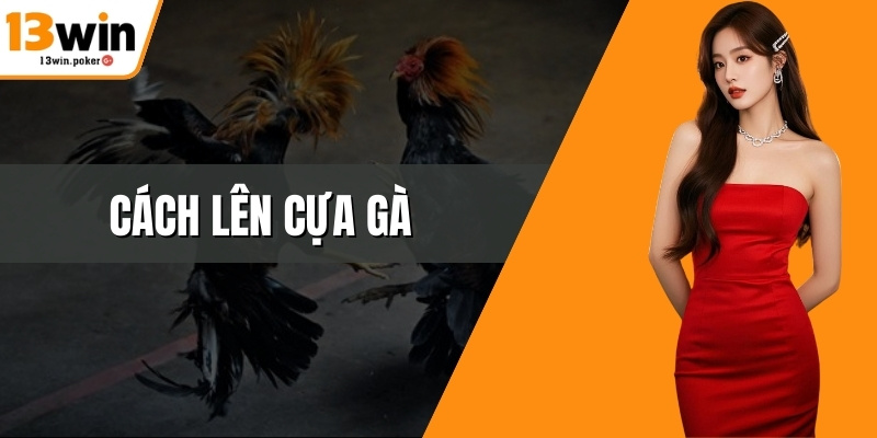 Cách Lên Cựa Gà Chuẩn Kỹ Thuật Thực Chiến Tại 13win