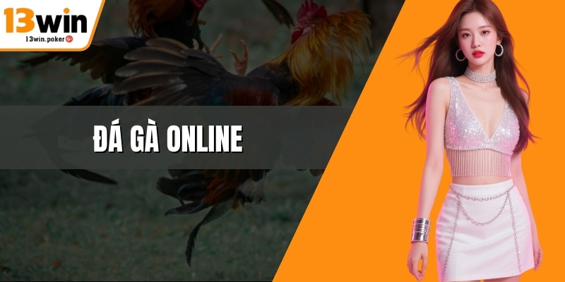 Đá Gà Online - Chuẩn Trải Nghiệm Giải Trí Tại 13win