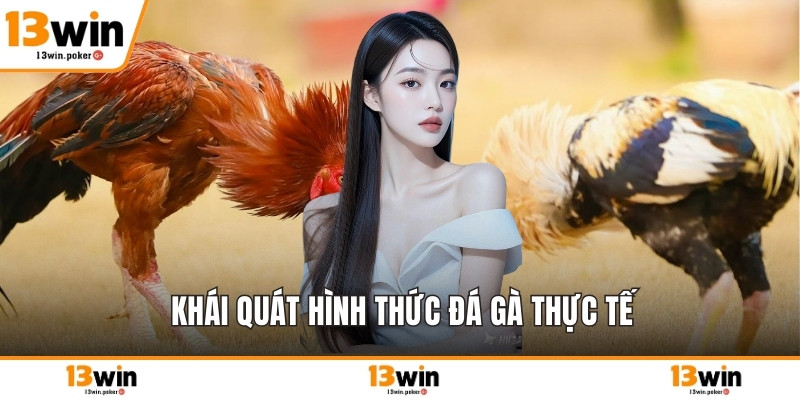 Khái quát hình thức đá gà thực tế
