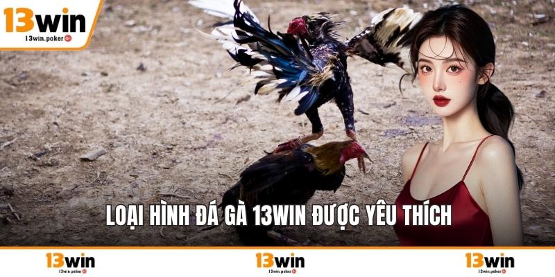 Loại hình đá gà 13win được yêu thích